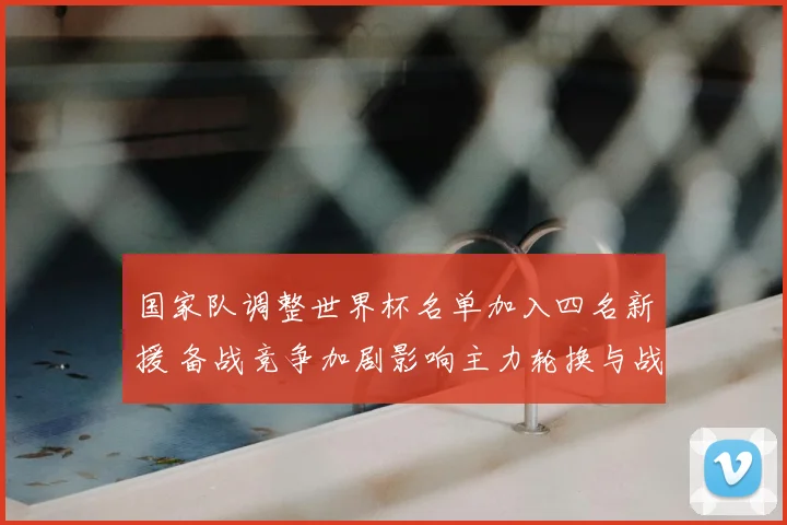 国家队调整世界杯名单加入四名新援 备战竞争加剧影响主力轮换与战术