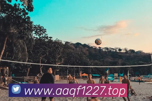 国际pg平台生态图